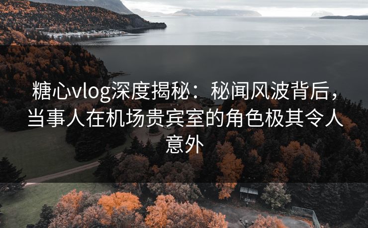 糖心vlog深度揭秘：秘闻风波背后，当事人在机场贵宾室的角色极其令人意外