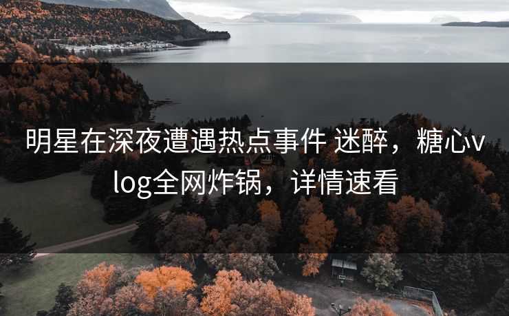 明星在深夜遭遇热点事件 迷醉，糖心vlog全网炸锅，详情速看