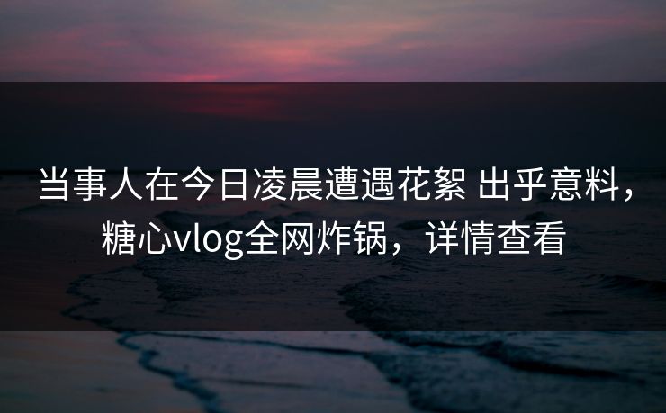 当事人在今日凌晨遭遇花絮 出乎意料,糖心vlog全网炸锅,详情查看 当事人在今日凌晨遭遇花絮 出乎意料,糖心vlog全网炸锅,详情查看